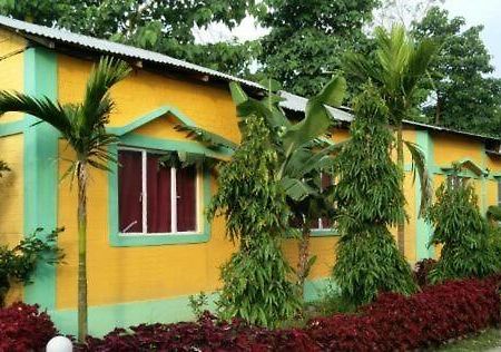 The Mystic Forest - A Tea Garden Resort At Dooars Madari Hat Экстерьер фото