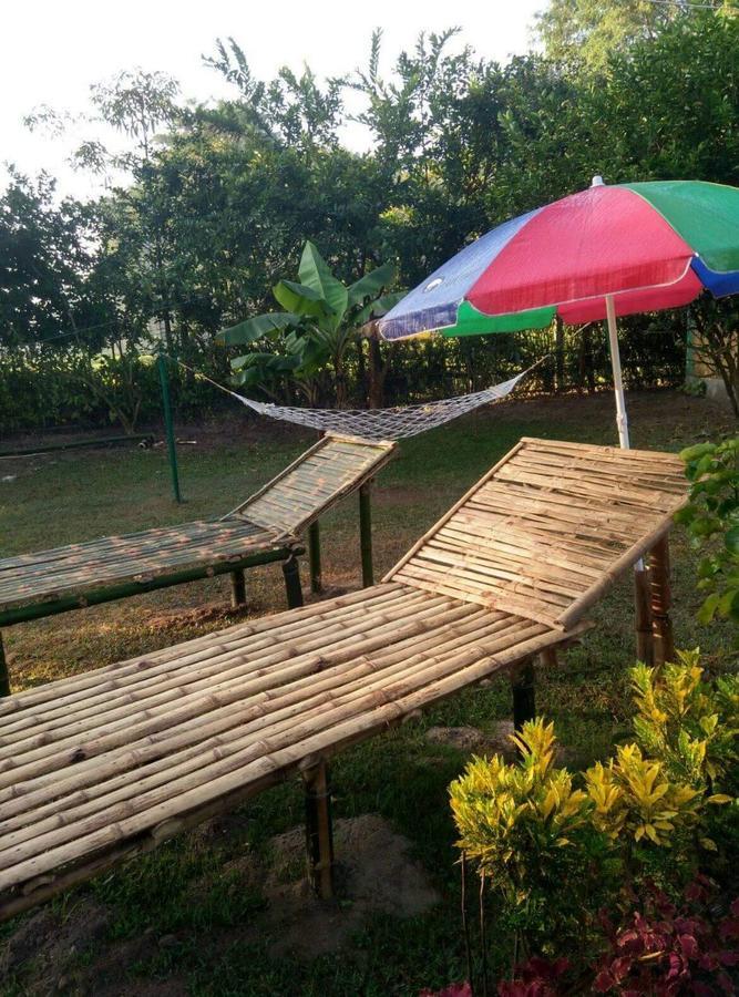 The Mystic Forest - A Tea Garden Resort At Dooars Madari Hat Экстерьер фото