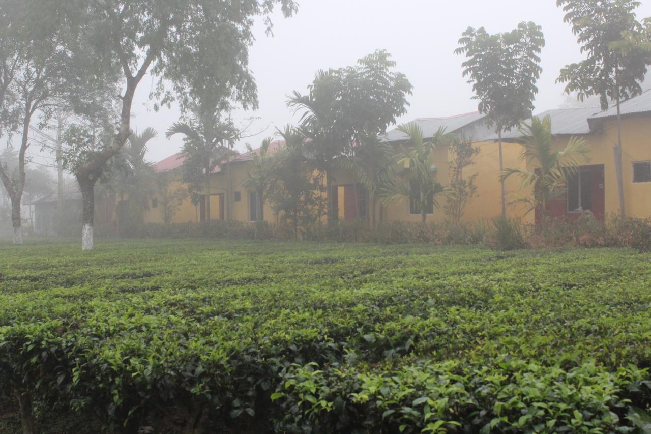 The Mystic Forest - A Tea Garden Resort At Dooars Madari Hat Экстерьер фото