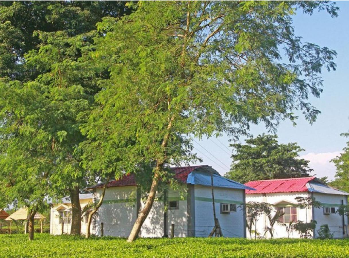 The Mystic Forest - A Tea Garden Resort At Dooars Madari Hat Экстерьер фото