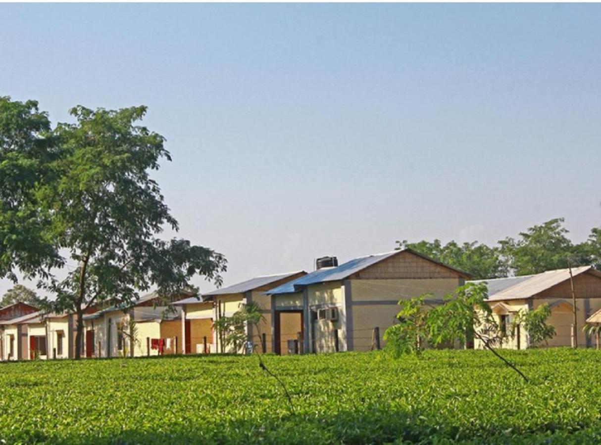 The Mystic Forest - A Tea Garden Resort At Dooars Madari Hat Экстерьер фото
