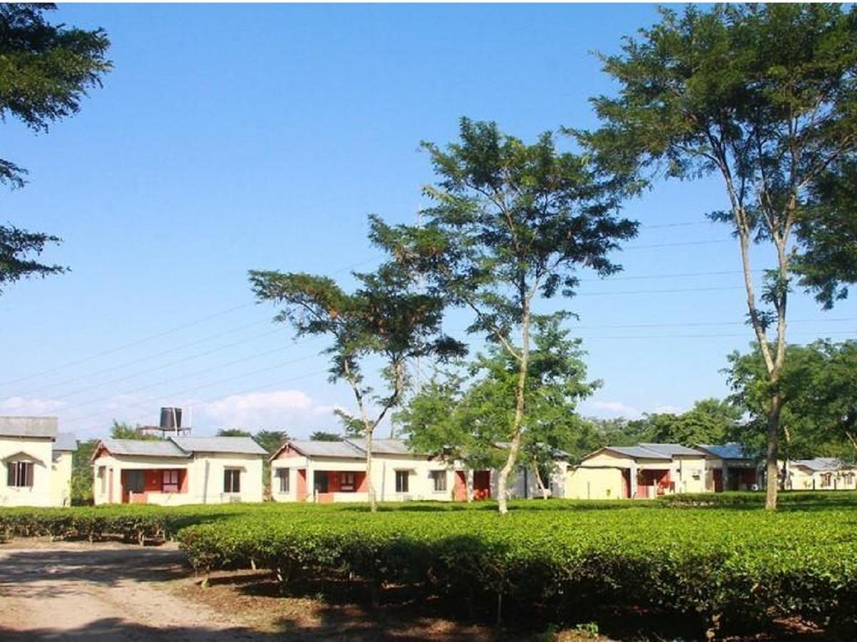 The Mystic Forest - A Tea Garden Resort At Dooars Madari Hat Экстерьер фото