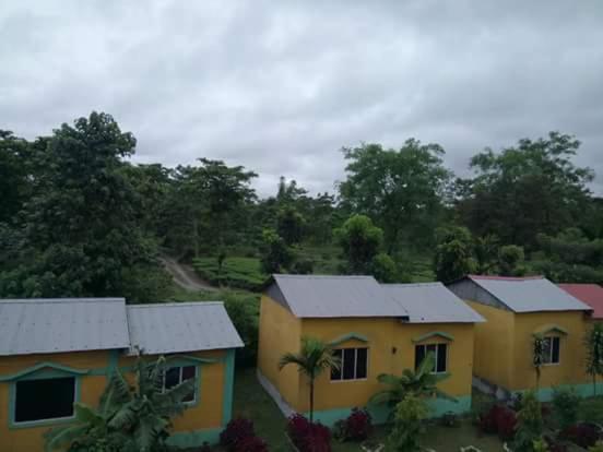 The Mystic Forest - A Tea Garden Resort At Dooars Madari Hat Экстерьер фото